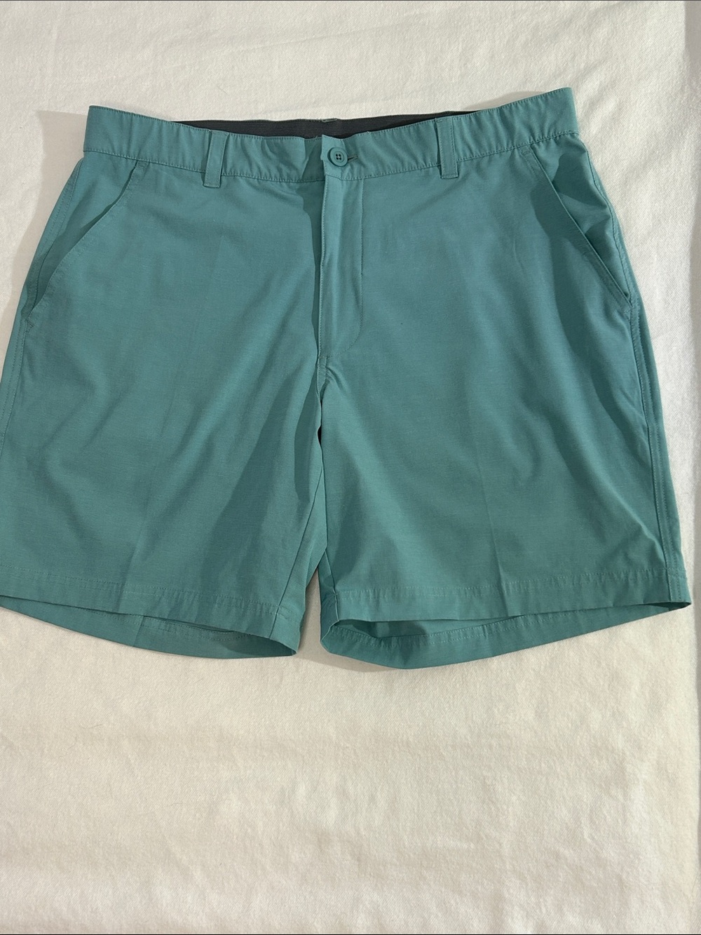Swannies Golf Mens Shorts Teal Green Size 36 Celebrate Pars Performance Athletic